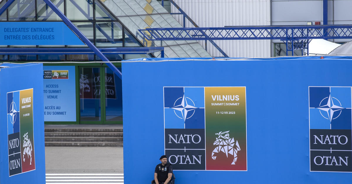 Ukraina siekia NATO įsipareigojimų artėjančiame Vilniaus viršūnių susitikime.  Ar sąjungininkai nori juos duoti?