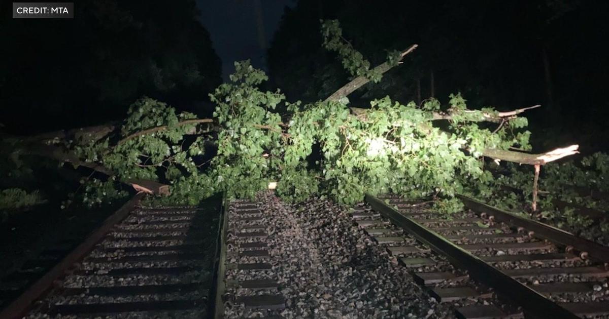 Tree falls onto tracks in Brooklyn, causing temporary subway delays: MTA