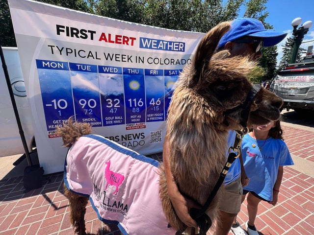 &iexcl;Viva! Streets Denver 