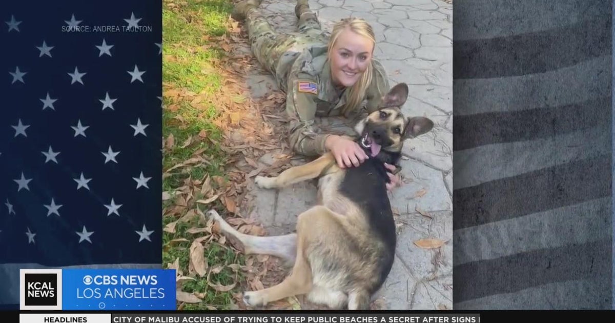 Paws of War brings dogs and service members together - CBS Los Angeles