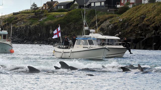 DENMARK-FISLANDS-FISHING-WHALE-TRADITIONS 