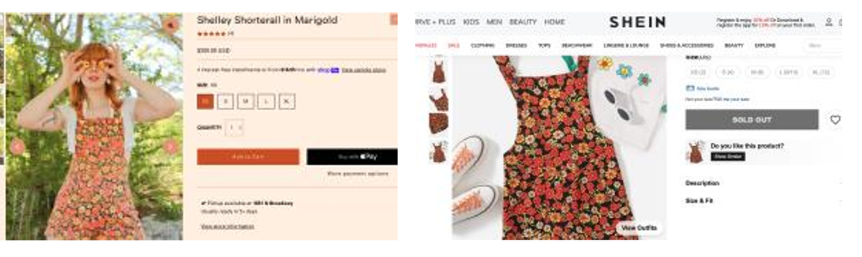 orange-daisies.png 
