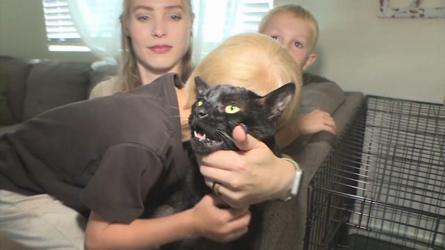 cat-returned-5pkg-frame-204.jpg 