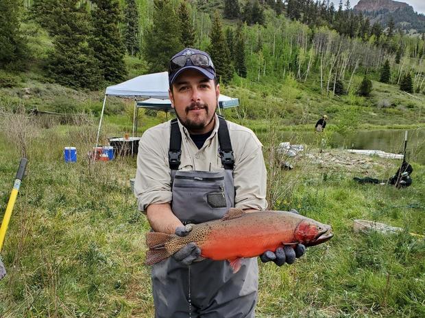 reservoir-cutthroat-2-cpw-aquatic-biologist-estevan-vigil-shows-the-beautiful-spawning-colors-of-a-male-rio-grande-cutthroat-trout-from-cpw.jpg 
