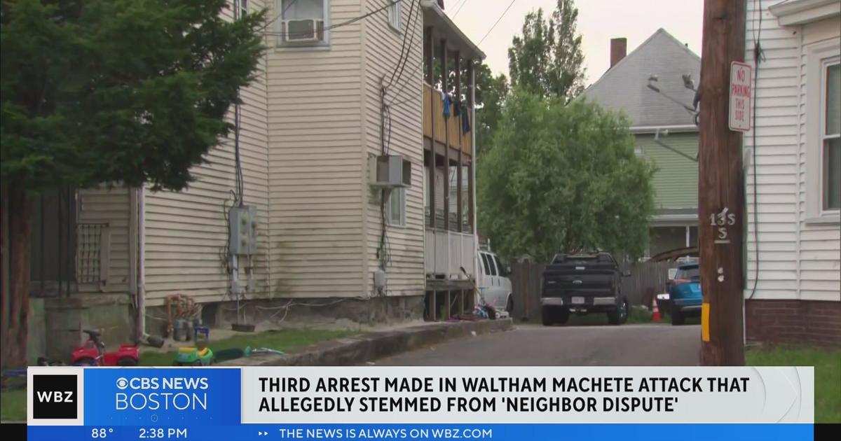 Third arrest made in Waltham machete attack