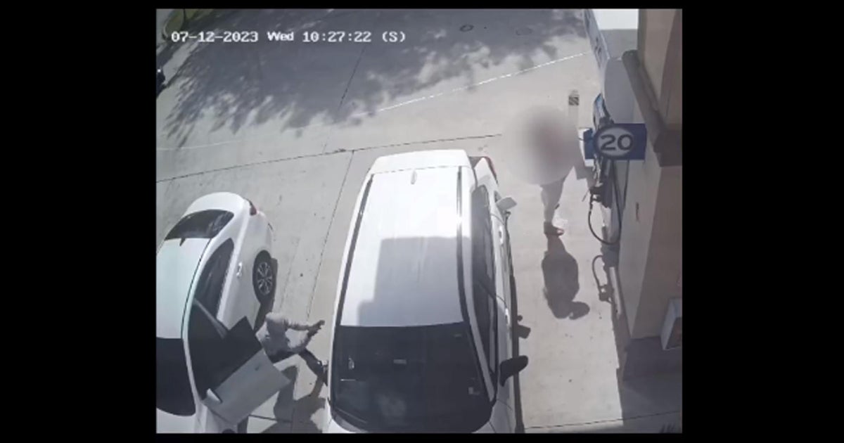 Woman’s purse stolen although she was pumping fuel at Miramar Cheveron station