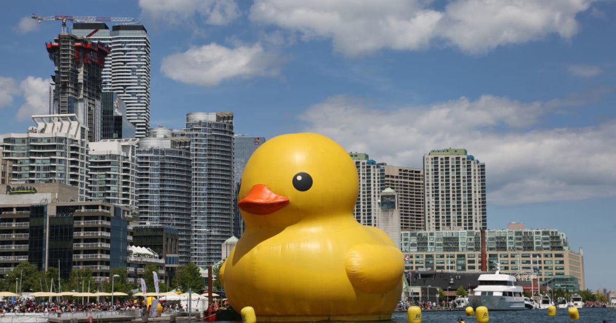 World's Largest Rubber Duck visiting Maryland waters - CBS Baltimore