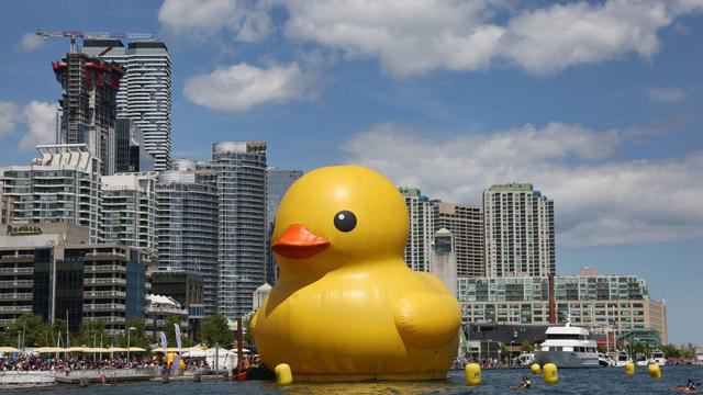 World's Largest Rubber Duck in Toronto 