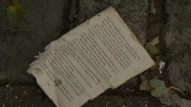 A page of paper from a book lays on the ground. 