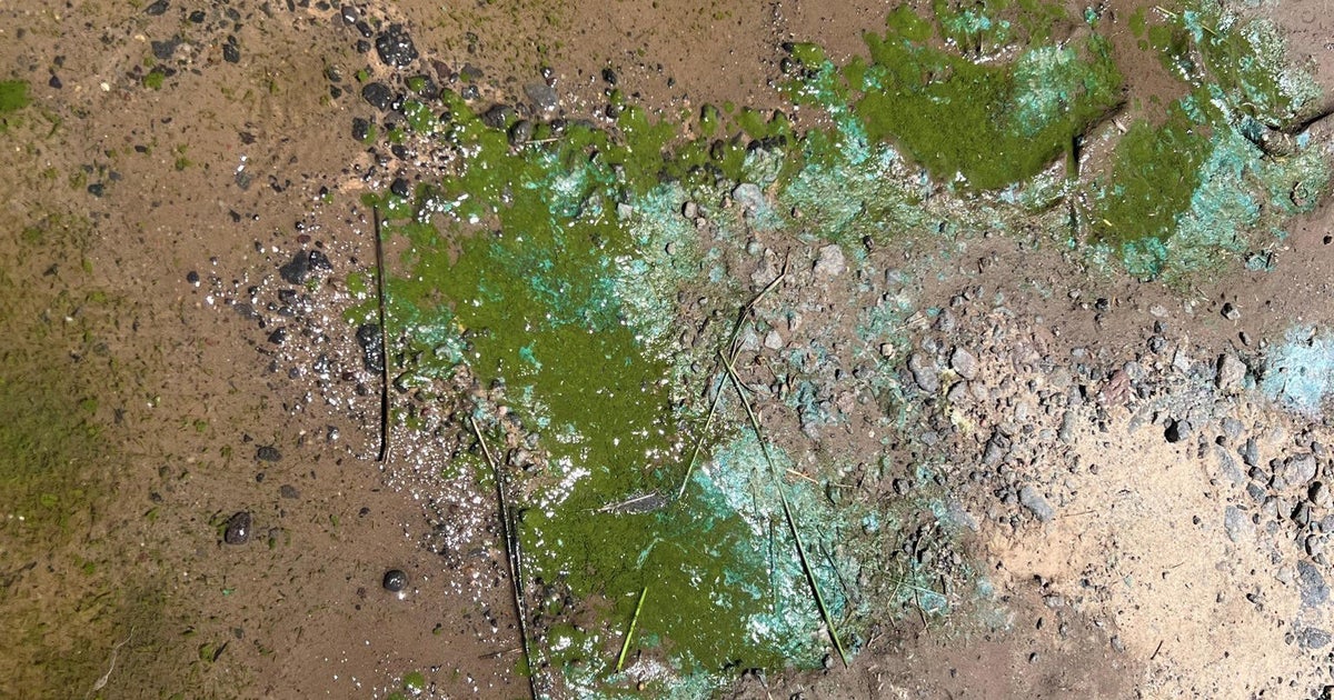 Colorado Parks and Wildlife advises visitors of potential blue-green algae in Vega Reservoir - Vimarsana News