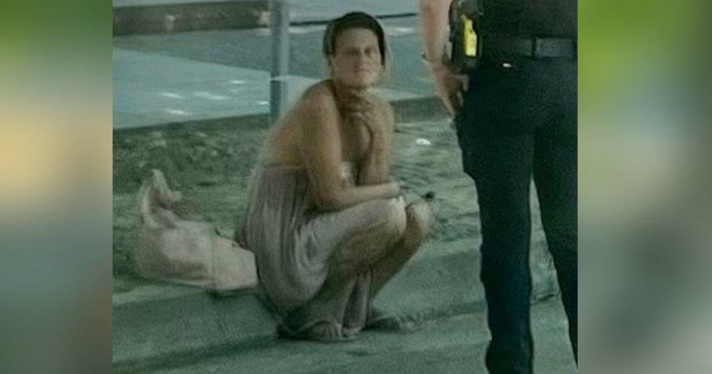 Police: Wife of Sacramento Downtown Partnership executive director assaulted by homeless woman in Sacramento - Vimarsana News