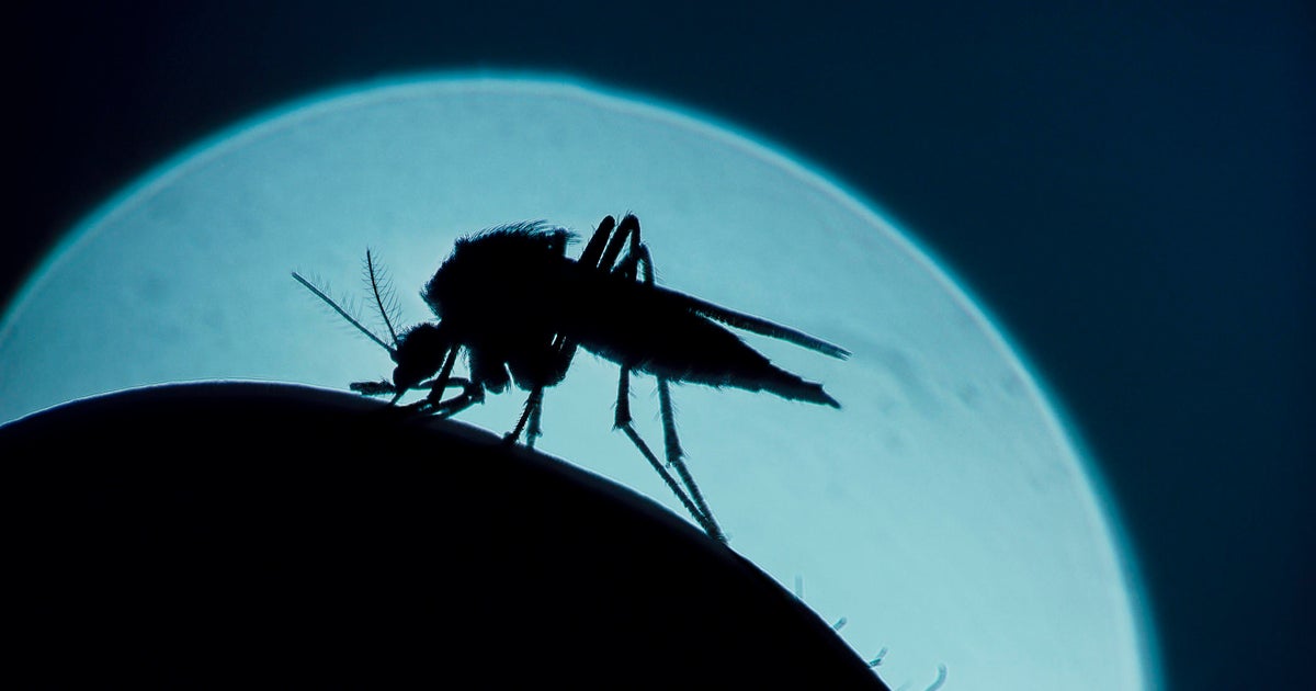 Positive case of locally acquired malaria found in Maryland health department says Positive case of locally acquired malaria found in Maryland health department says