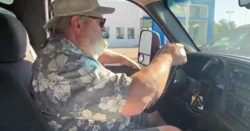 Man Goes Through Hurdles To Recover Vin Get Car That Was Stolen Back