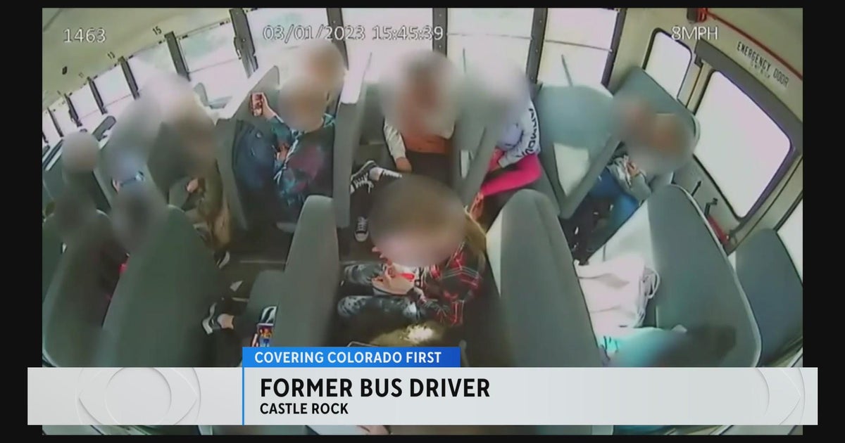 Former Douglas County school bus driver pleads guilty in slamming ...