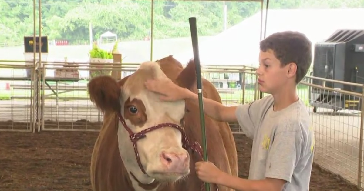 Harford County Farm Fair celebrating local agricultural heritage CBS