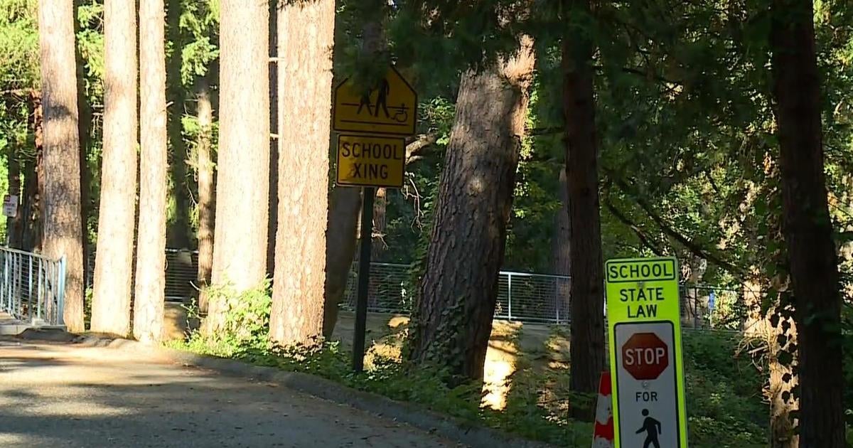 150 trees in Nevada City tagged for removal over potential fire risk to students