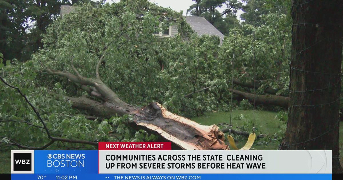 Communities clean up after severe storms in Massachusetts