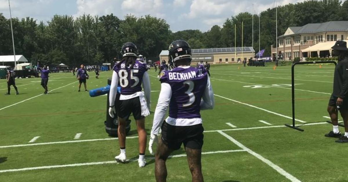 First day of Ravens training camp draws fans to The Castle 