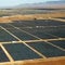 Solar farms helping ease strain on U.S. power grids
