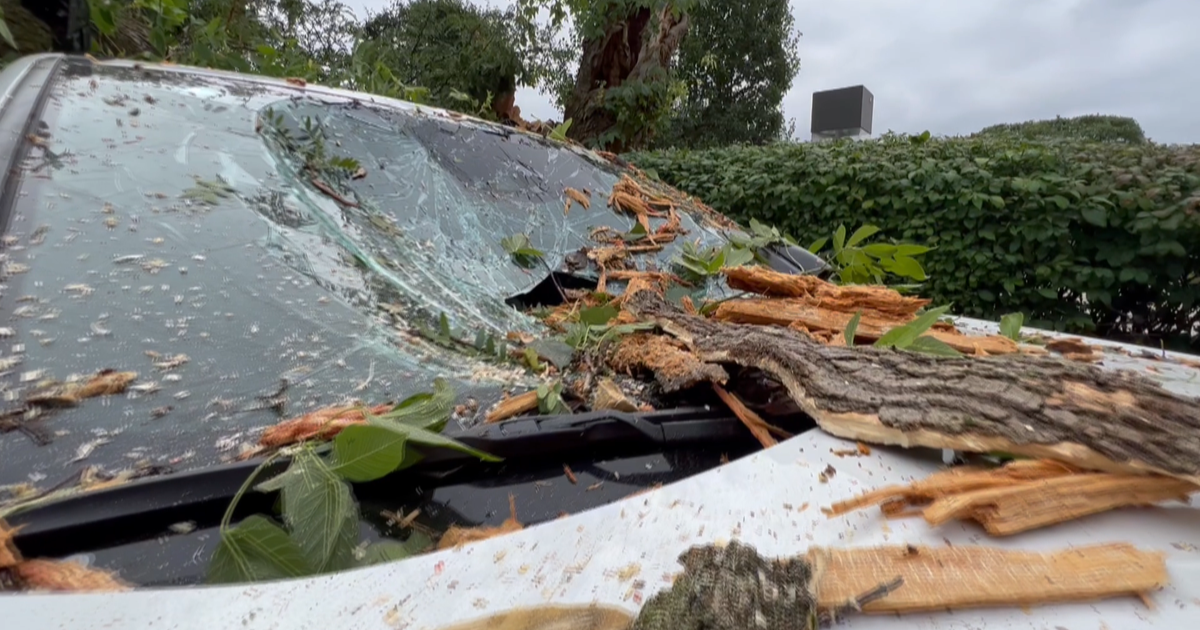 Cleanup efforts underway in Southeast Michigan after Wednesday's storm ...
