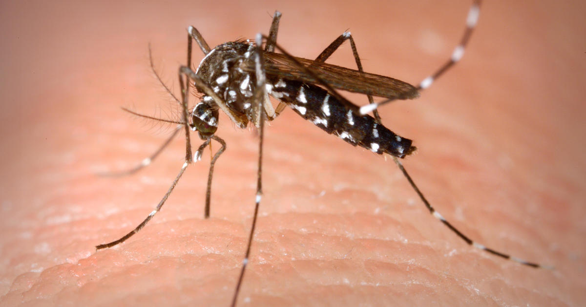 Broward inspectors responding to phone calls in advance of mosquito period
