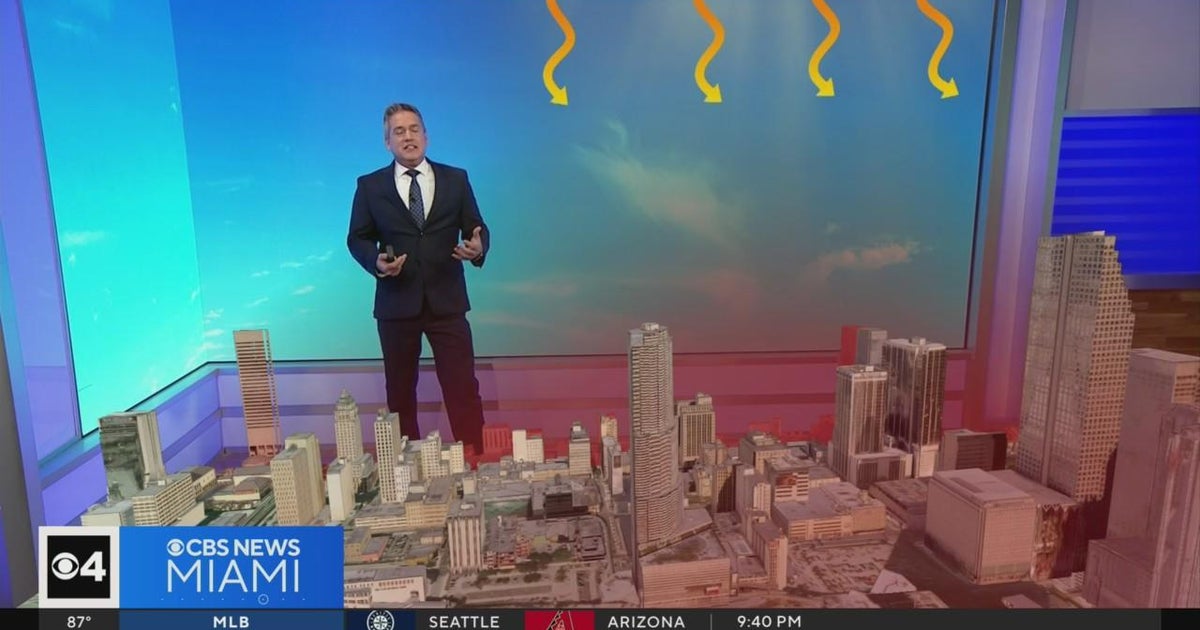 Miami is thirdhottest concrete jungle in US, report finds CBS Miami