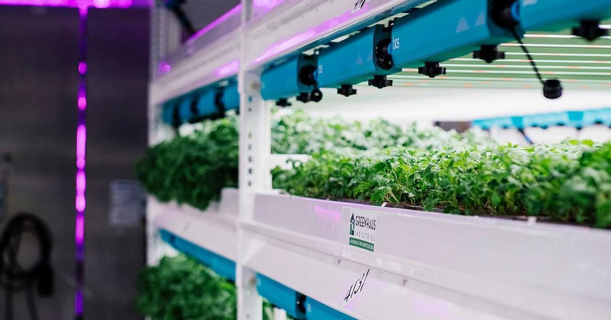 Indoor farm Planted Detroit to shut down