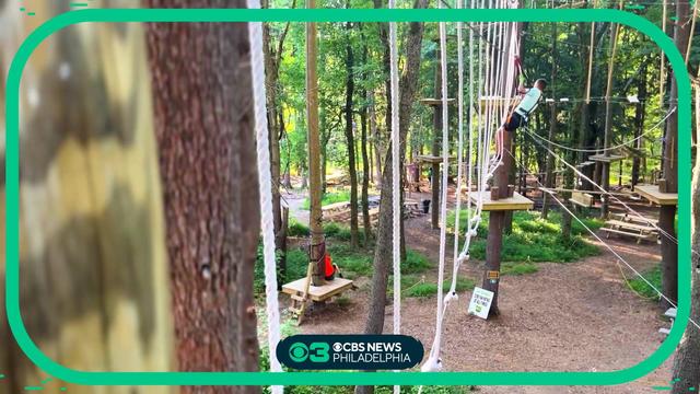 The Heartbeat: Tree Trails Adventures takes outdoor fun to new heights 