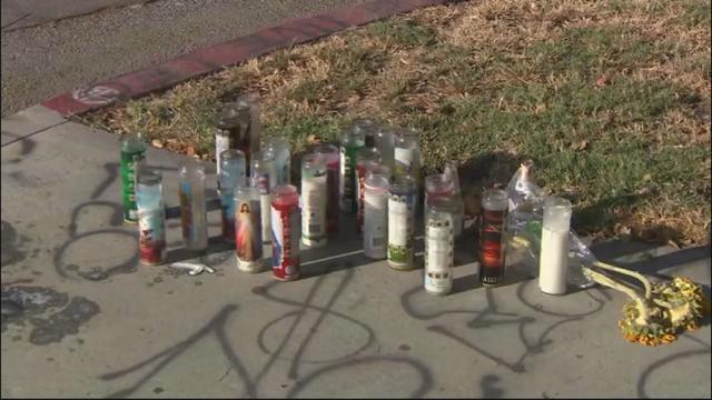 flowers-at-vigil-for-bicyclist-murder.jpg 