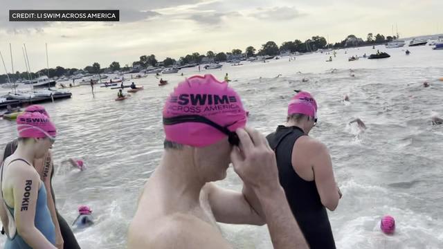 Dozens of swimmers in the water as more prepare to dive in. 