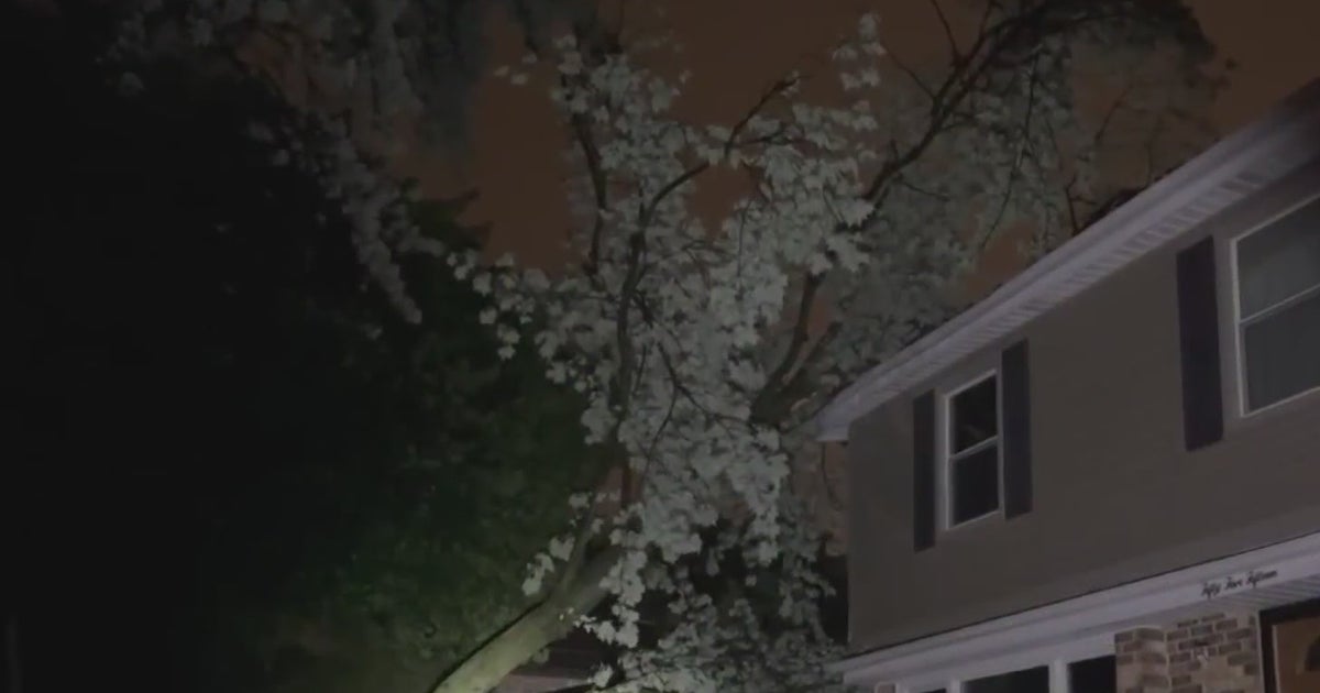 Overnight storms leaves damage, thousands without power - CBS Chicago