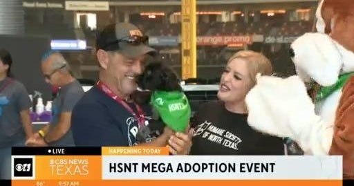 More than 1,000 pets ready to find their home at mega adoption event ...
