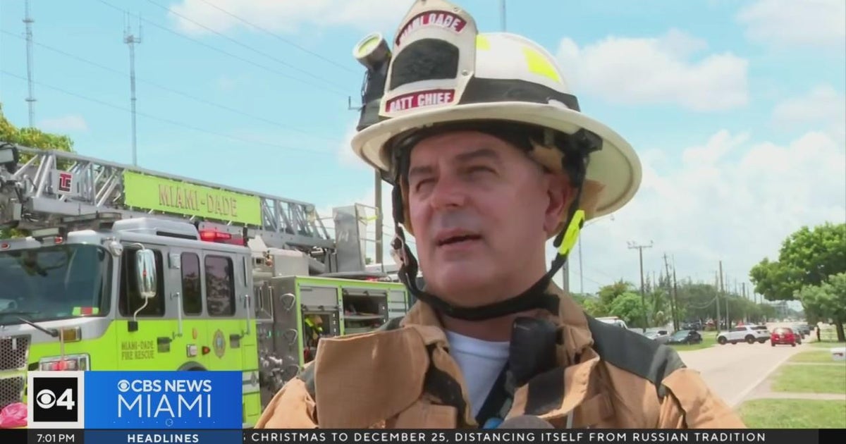 Two loved ones pet dogs killed, firefighter wounded in Miami Gardens property hearth