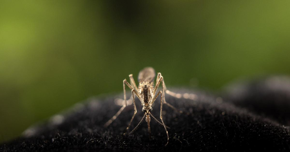 Yolo County reports first confirmed 2023 human West Nile Virus case in Woodland resident