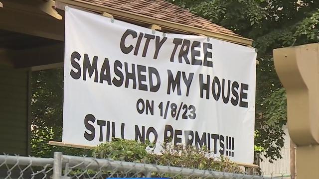 sac-homeowner-tree-sign.jpg 