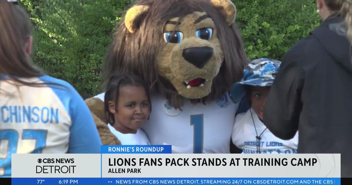 Detroit Lions fans show their support in the stands prior to the