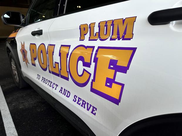 plum-police-1.jpg 