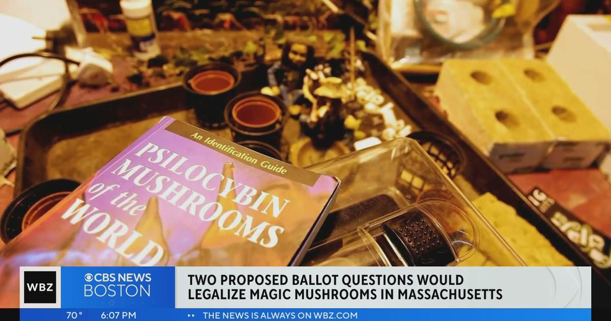 ‘Magic mushrooms’ for medical purpose could be potential 2024 ballot question