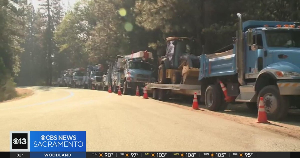 PG&E cuts $2.5 billion tree trimming program early