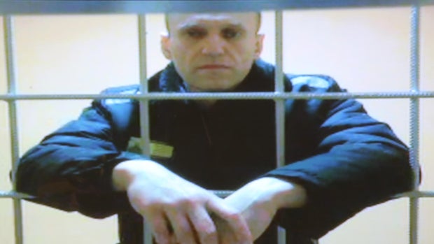 Appeal Hearing Held Over Navalny's 9-Year Sentence