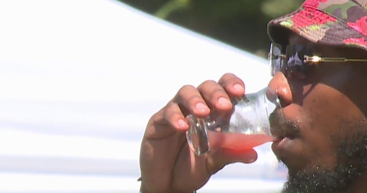 2ndannual Brunch in the Park held at Sacramentos Roosevelt Park