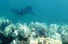 saving-coral-reefs-1280.jpg 