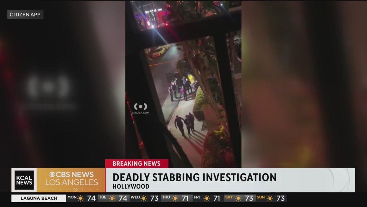 Hollywood stabbing incident: 1 dead, 1 hospitalized; woman arrested ...