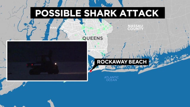 possible-shark-attack-rockaway-beach.jpg 