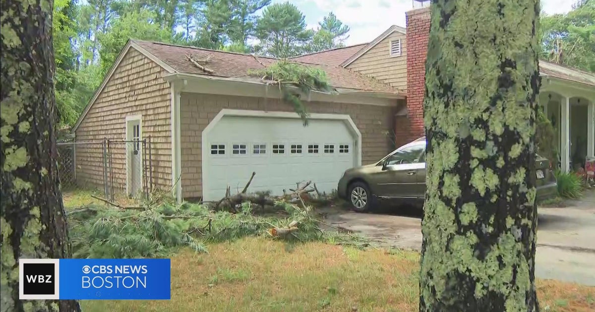 Tornado confirmed in Mattapoisett CBS Boston