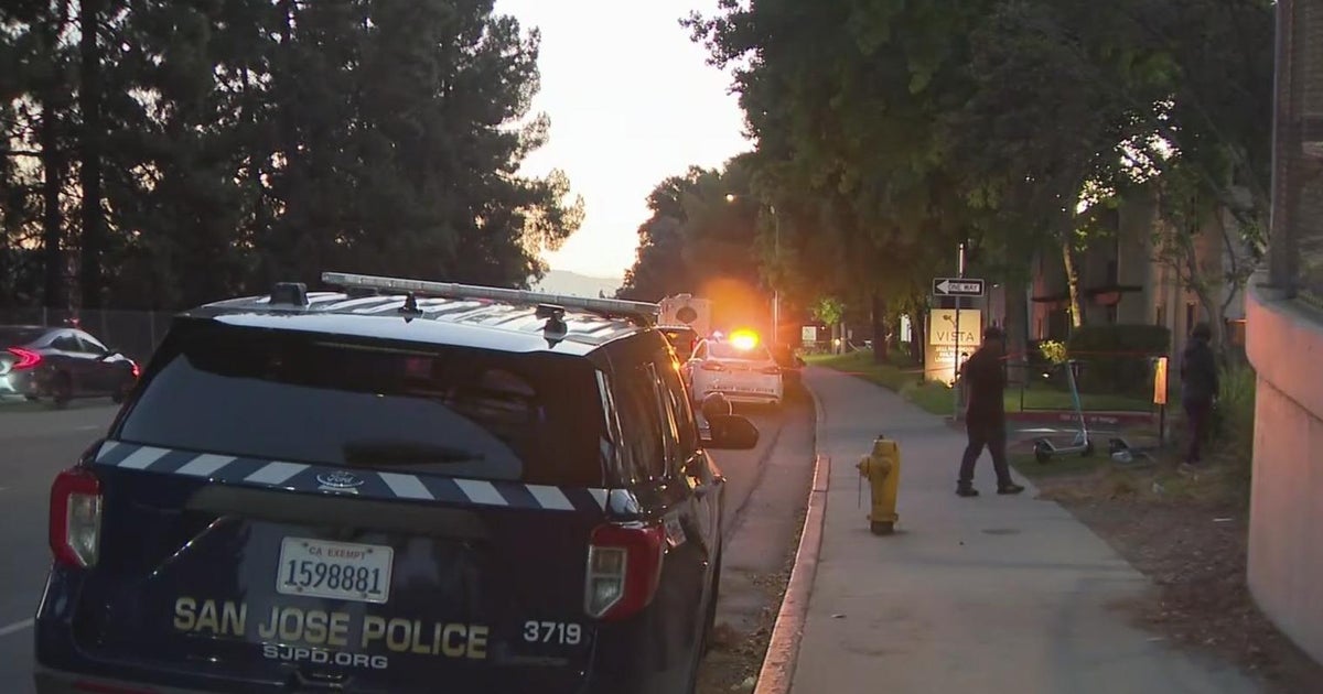 San Jose police: Woman and great grandson fatally stabbed in Friday ...