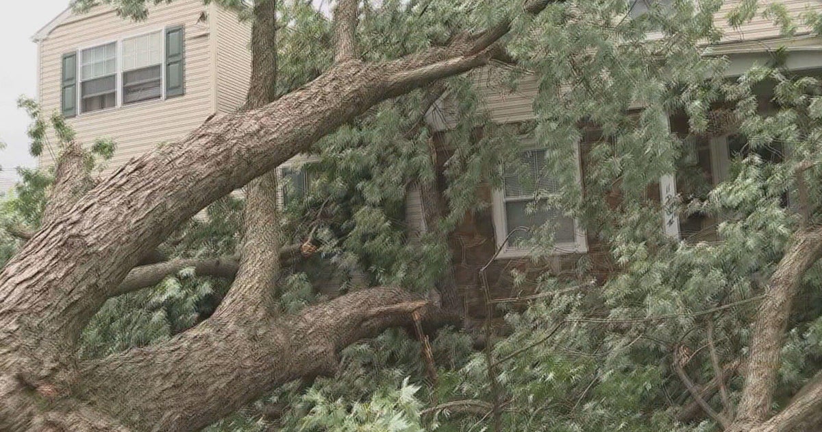 Tornado touched down in Allentown, National Weather Service says - Vimarsana News