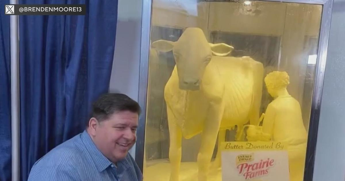 The 2023 Butter Cow is unveiled at the Illinois State Fair