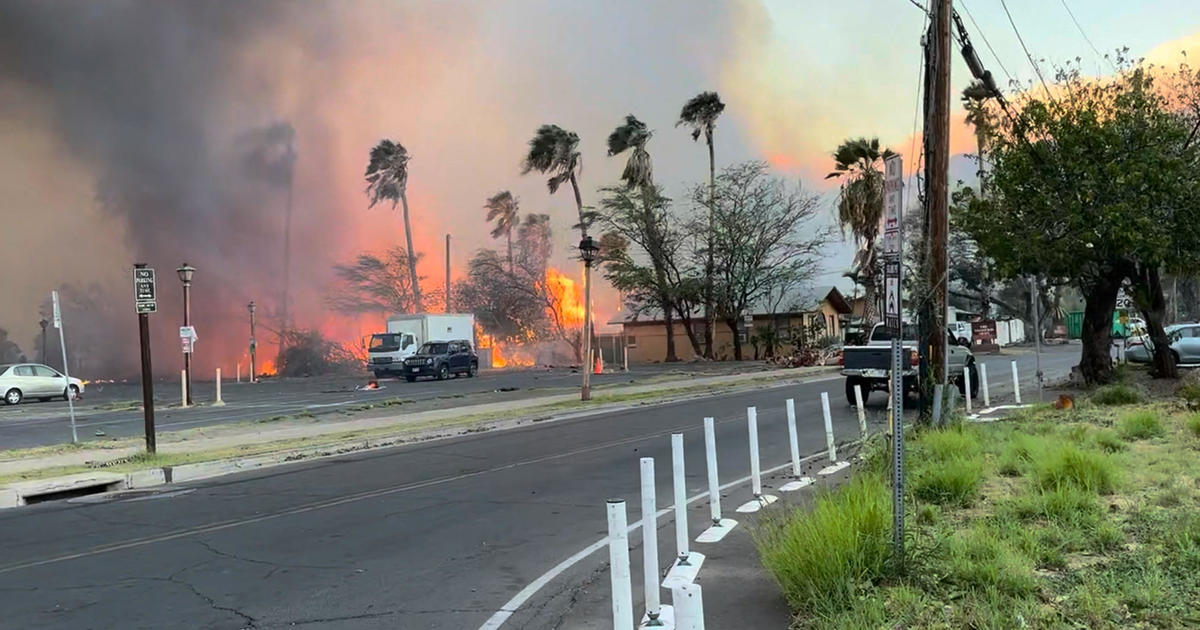 How to help or donate in response to the deadly Maui wildfire