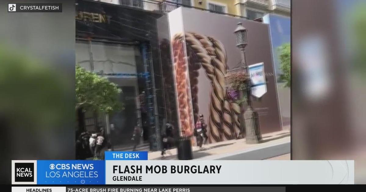 Two Massive 'Flash Mob' Robberies Hit Los Angeles Malls: Video